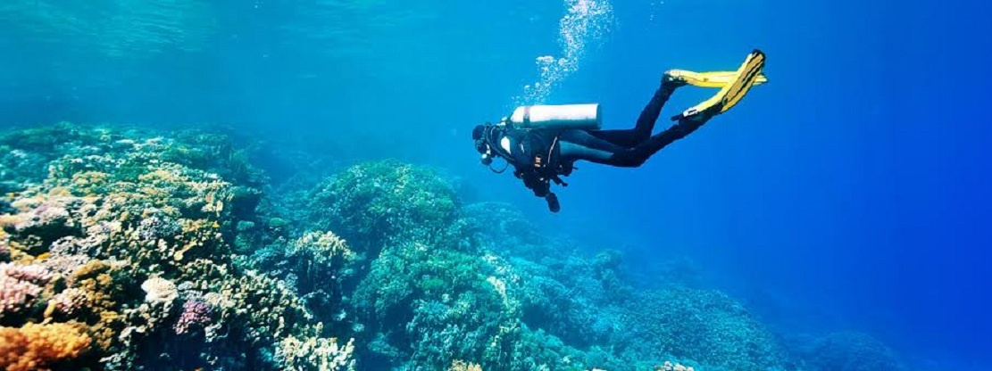 Day Scuba Diving Tour From Sharm EL Sheikh Port — photo 7