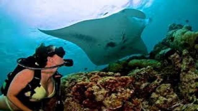 Day Scuba Diving Tour From Sharm EL Sheikh — photo 2