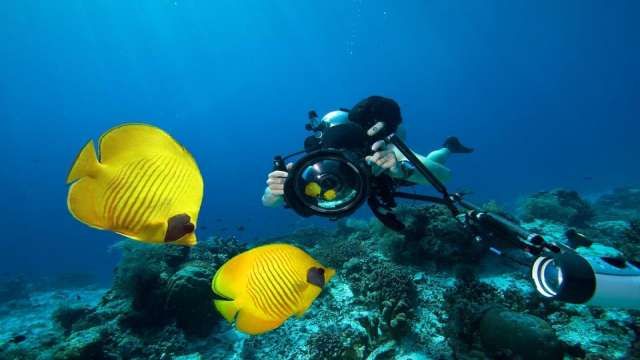 Day Scuba Diving Tour From Sharm EL Sheikh — photo 3