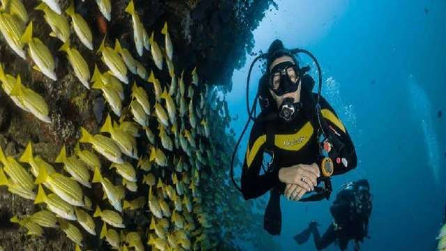 Day Scuba Diving Tour From Sharm EL Sheikh — photo 4