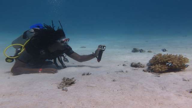 Day Scuba Diving Tour From Sharm EL Sheikh — photo 6
