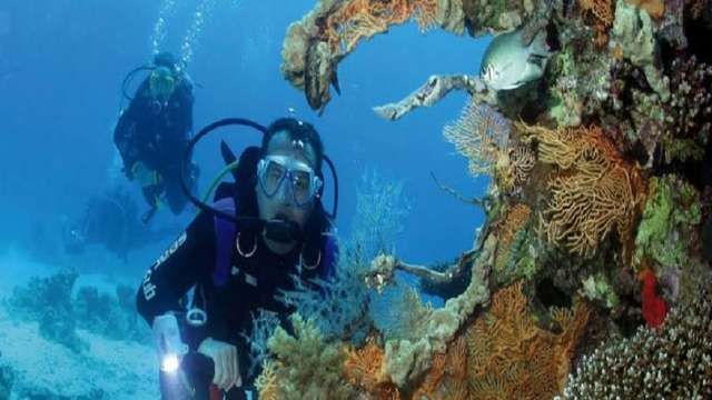 Day Scuba Diving Tour From Sharm EL Sheikh — photo 7