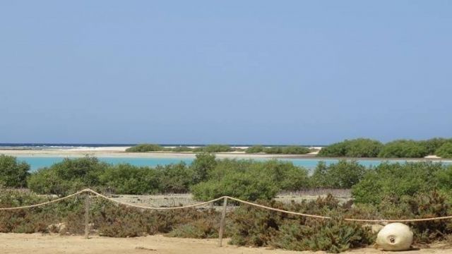 Day snorkeling trip to Sharm el Lulli and wadi El Qulaan — photo 2