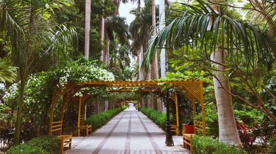 Day tour to Aswan Botanical Gardens — photo 2