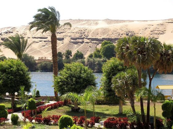 Day tour to Aswan Botanical Gardens — photo 4