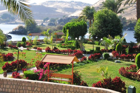 Day tour to Aswan Botanical Gardens — photo 5