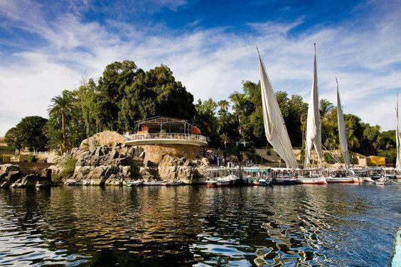Day tour to Aswan Botanical Gardens — photo 6