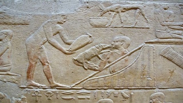 Day Tour To Pyramids Memphis Sakkara From Cairo — photo 5