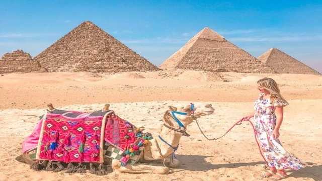 Day Tour To Pyramids Of Giza and Civilization Museum — photo 3