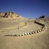 Day trip to Wadi Al Hitan and Fayoum Oasis from Alexandria — photo 2