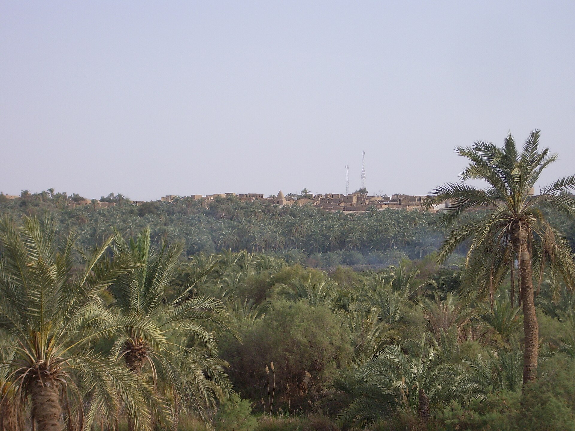 Desert Super Safari Excursions by Jeep from Marsa Alam — photo 6
