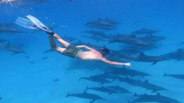 Dolphin house boat snorkeling excursion from Hurghada — photo 3