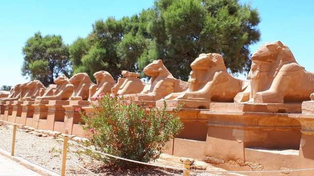 Egypt 11 Days Itinerary — photo 13