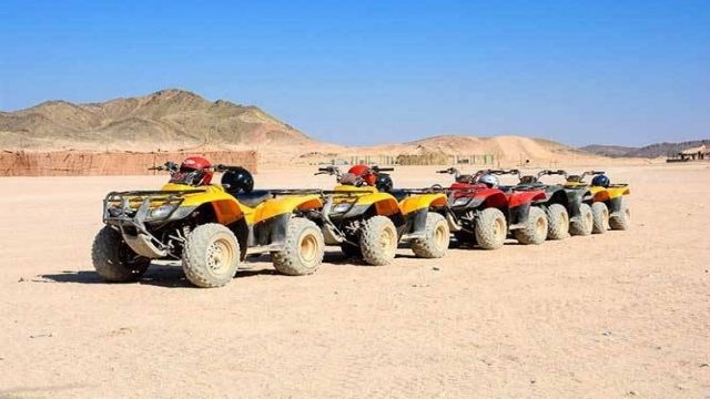 El Gouna desert Morning Safari Exciursion By Quad Bike — photo 3