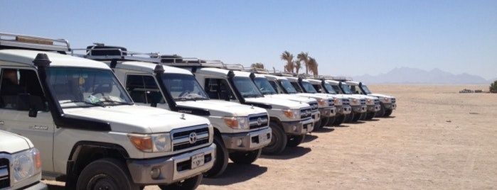El Gouna Desert Safari Trip by jeep — photo 2