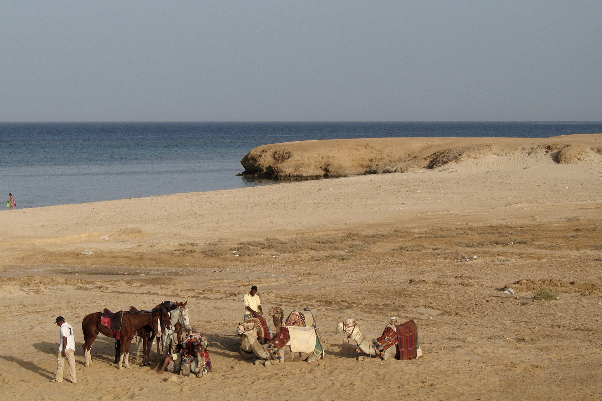 elquseir city tour from marsa alam