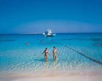 Giftun Island Snorkeling Tours in El Gouna