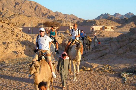 Golden Safari Tour from Sharm El sheikh