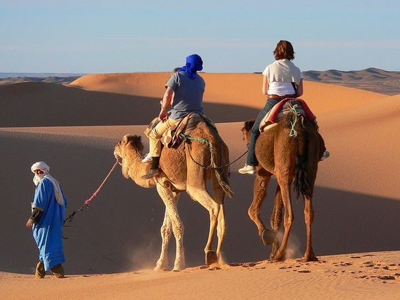 Golden Safari Tour from Sharm El sheikh — photo 3