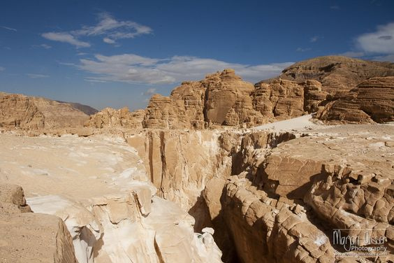 Golden Safari Tour from Sharm El sheikh — photo 4