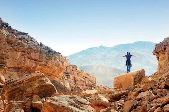 Golden Safari Tour from Sharm El sheikh — photo 5