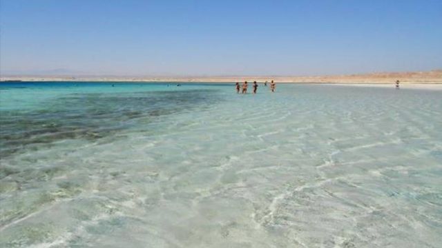 Half day snorkeling to sharm el luli