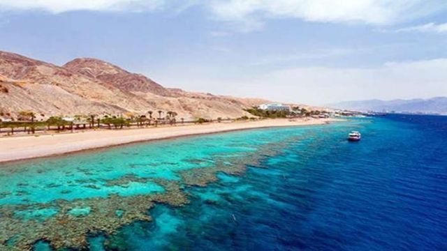 Half day snorkeling to sharm el luli — photo 2