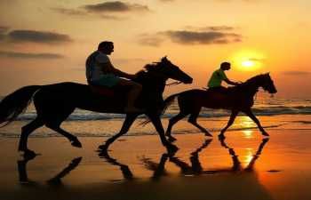 Horse riding in Sharm El Sheikh — photo 2