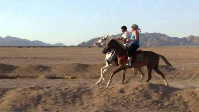Horse riding in Sharm El Sheikh — photo 3
