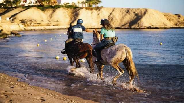 Horse riding in Sharm El Sheikh — photo 4