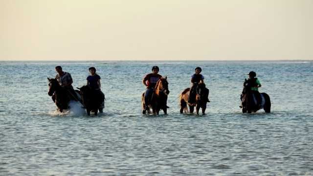 Horse riding in Sharm El Sheikh — photo 5