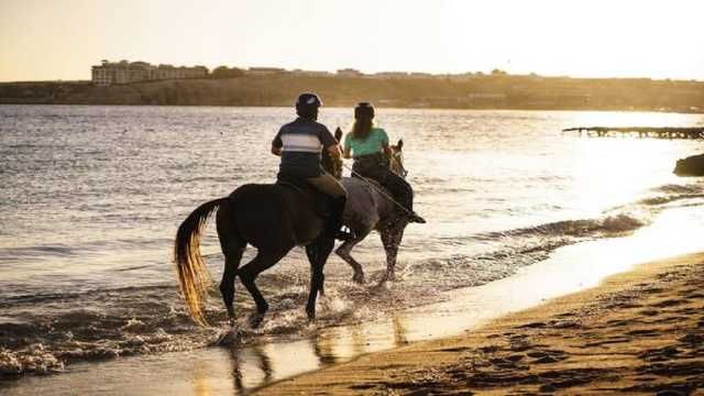 Horse riding in Sharm El Sheikh — photo 6
