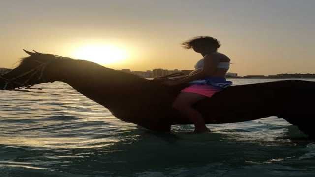 Horse riding in Sharm El Sheikh — photo 7
