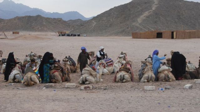 Hurghada Desert Morning Safari Trip By Quad Bike — photo 4