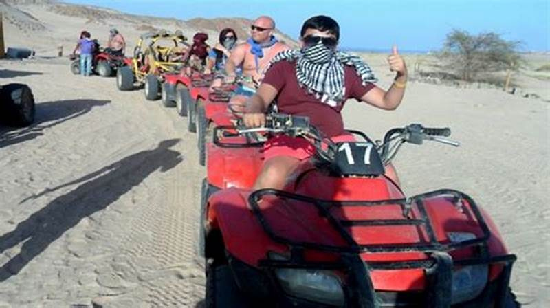 Marsa Alam Morning Car Buggy tours