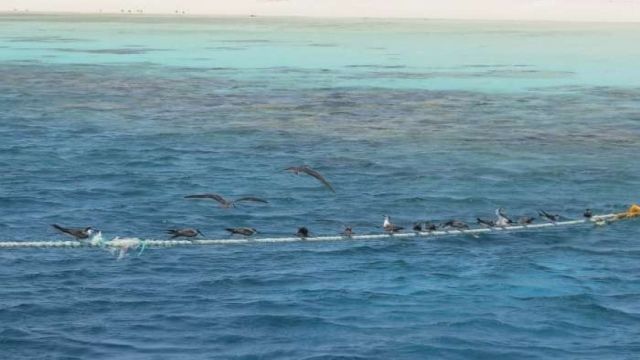 Marsa Moubark Snorkeling Trip from Portghalib — photo 5