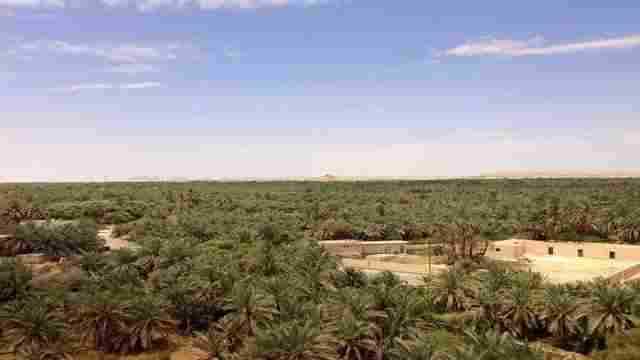 One Night Camping in White and Black Deserts from Cairo — photo 5