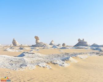 One night White Desert and Bahariya Camping from Cairo