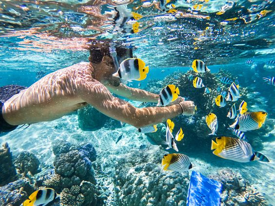 Overnight snorkeling Trip at sataya dolphin reef from Marsa Alam