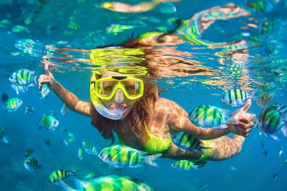 Overnight snorkeling Trip at sataya dolphin reef from Marsa Alam — photo 2