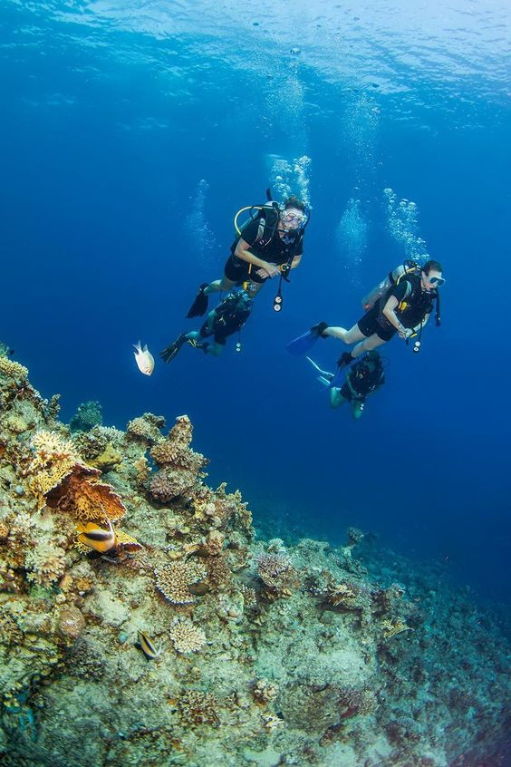 Overnight snorkeling Trip at sataya dolphin reef from Marsa Alam — photo 6