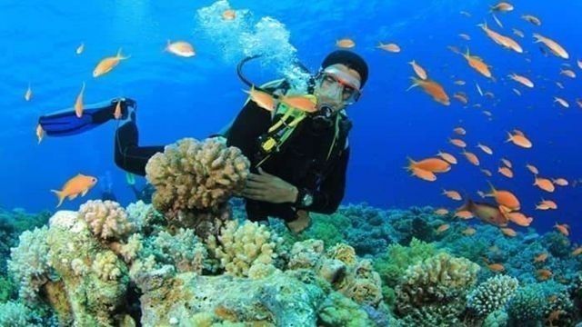 Portghalib intro diving trip from Marsa Alam — photo 3