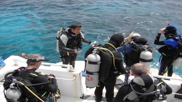 Portghalib intro diving trip from Marsa Alam — photo 4