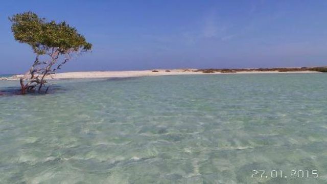 Portghalib tours to sharm el luli snorkeling tours โ photo 5