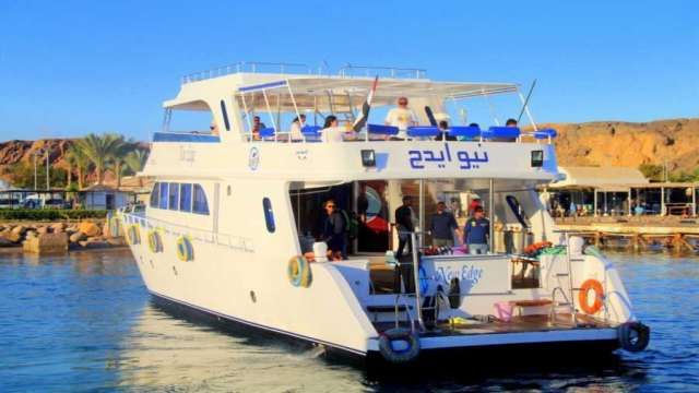 Private boat Snorkeling trip to Tiran Island — photo 5