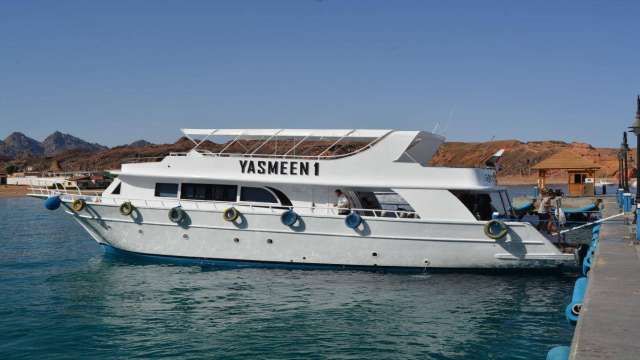 Private boat Snorkeling trip to Tiran Island — photo 6