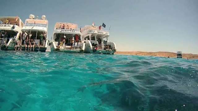 Private boat Snorkeling trip to Tiran Island — photo 7
