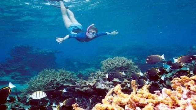 Private boat trip to Sataya dolphin Reef from Marsa Alam — photo 2