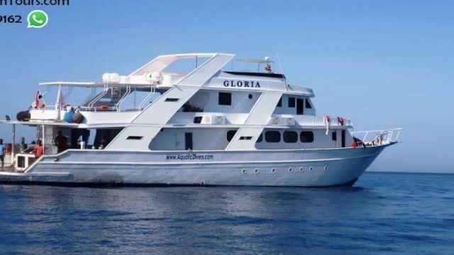 Private boat trip to Sataya dolphin Reef from Marsa Alam — photo 4