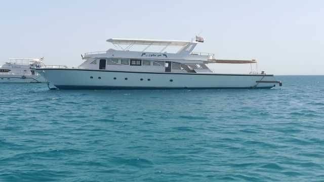 Private Boat Trip to the dolphin house from Hurghada — photo 4
